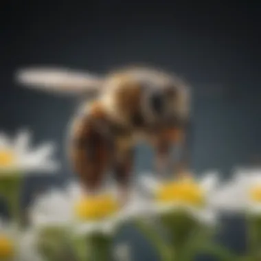 Bee on flower collecting nectar