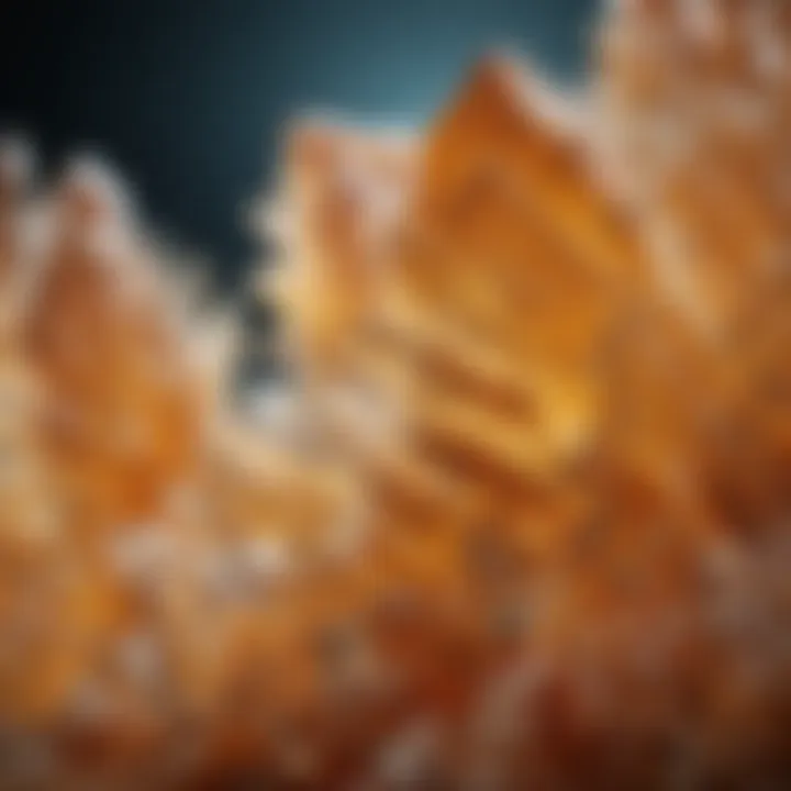 Microscopic view of glucose crystals in honey