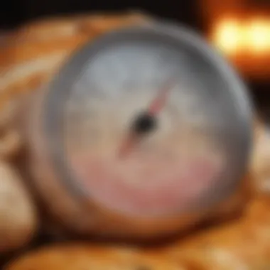 Measuring Internal Temperature for Safety Thermometer inserted into a whole chicken breast
