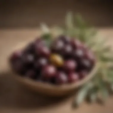 Close-up of ripe olives on the branch, highlighting their rich colors and textures