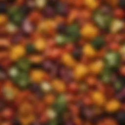 A vibrant array of air-fried vegetables showcasing color and texture.
