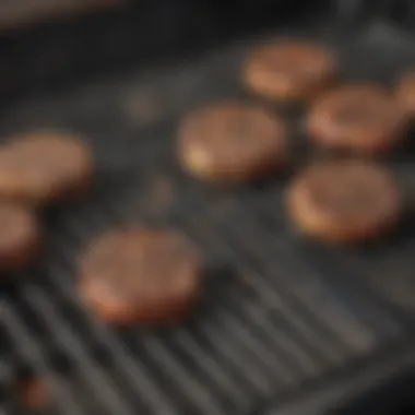 Compatibility of Weber Grill Grates with Spirit E 310 Compatibility features of Weber Spirit E 310 grill grates