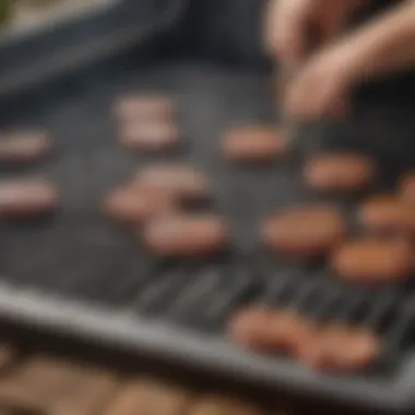 Maintenance Guide for Weber Grill Grates Illustration highlighting the maintenance of grill grates