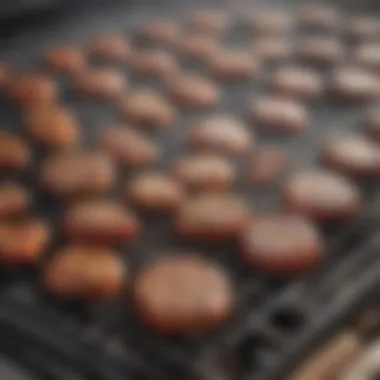 Performance Advantages of Weber Grill Grates Weber grill grates enhancing grilling performance