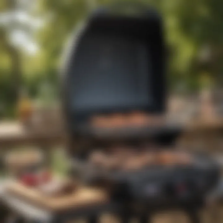 Maintenance tools and tips for the Weber grill