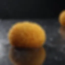 Wettex sponge showcasing its unique texture and absorbency