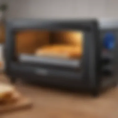 A user-friendly online shopping interface for toaster ovens