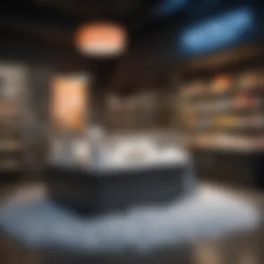 Retail store showcasing dry ice products