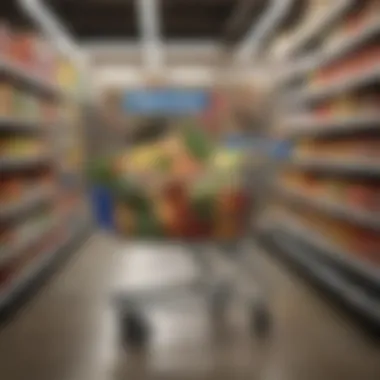 Shopping cart filled with groceries